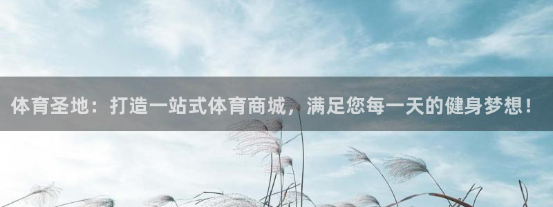 凯发官网下载招商电话：体育圣地：打造一站式体育商城，