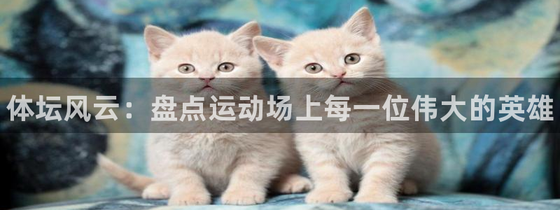 凯发官网下载软件：体坛风云：盘点运动场上每一位伟大的