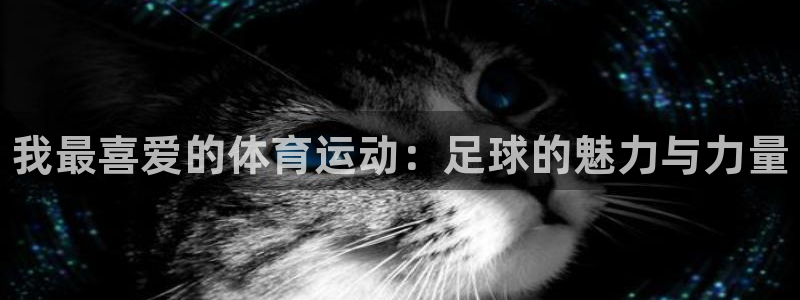 凯发官网下载招商电话号码是多少号：我最喜爱的体育运动