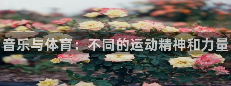 凯发官网下载招商电话号码查询是多少：音乐与体育：不同的运动精