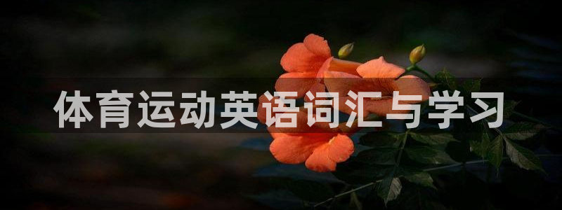 凯发官网下载招商电话号码：体育运动英语词汇与学习