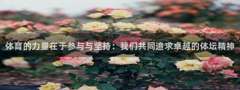 凯发官网下载招商电话号码是多少：体育的力量在于参与与坚持：我