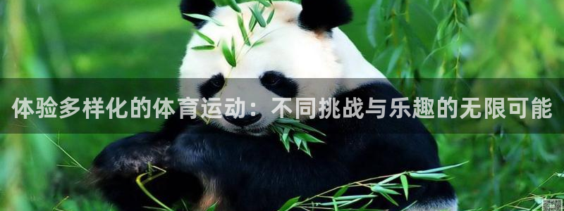 凯发官网下载招商电话号码查询：体验多样化的体育运动：不同挑战