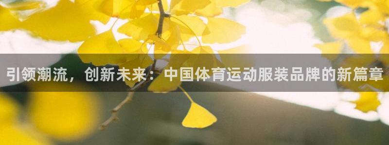 凯发官方正版app官方：引领潮流，创新未来：中国体育