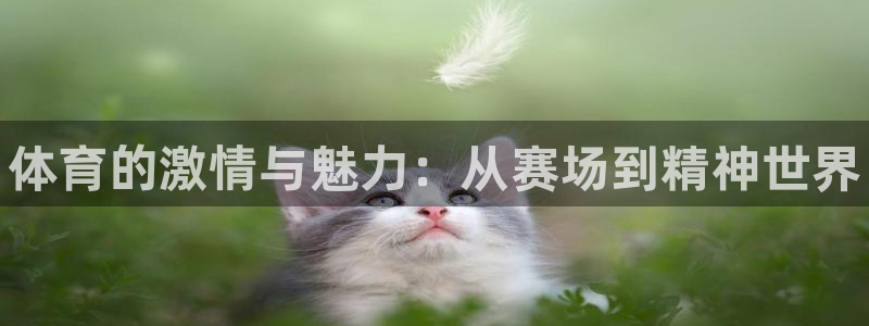 凯发官方正版app娱乐是那个系列的台子：体育的激情与