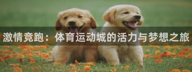 凯发官方正版app集团官网网址：激情竞跑：体育运动城