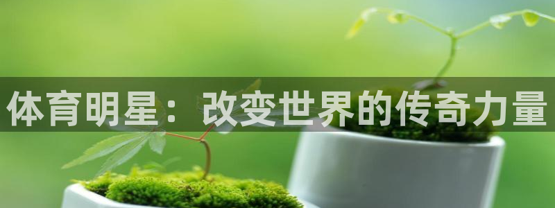 凯发官方正版app集团logo：体育明星：改变世界的