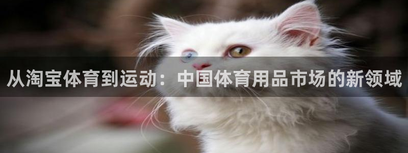 凯发官方集团官网：从淘宝体育到运动：中国体育用品市场的新领域