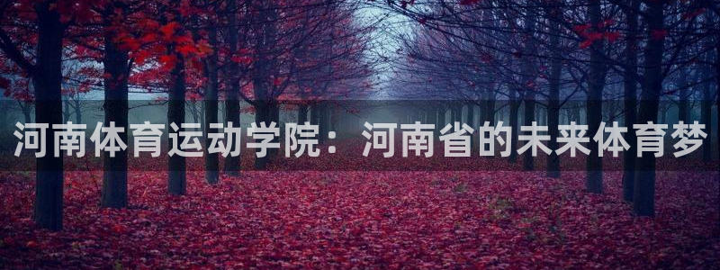 凯发官方正版app集团：河南体育运动学院：河南省的未