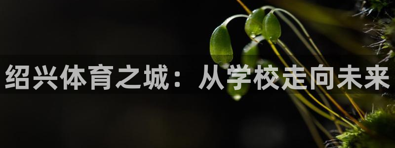 凯发官方正版app娱乐首页官网下载：绍兴体育之城：从