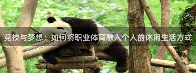 凯发官网下载平台APP：竞技与梦想：如何将职业体育融