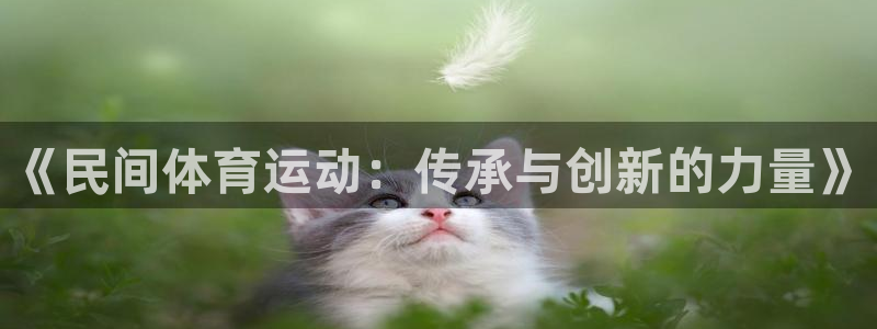凯发官网下载招商电话地址查询：《民间体育运动：传承与