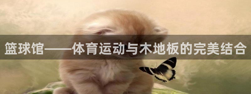 凯发官方正版app娱乐是那个系列的台子：篮球馆——体