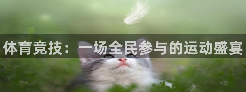 凯发官方平台体育：体育竞技：一场全民参与的运动盛宴