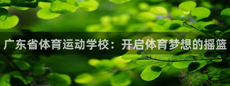 凯发官方正版app科技：广东省体育运动学校：开启体育梦想的摇