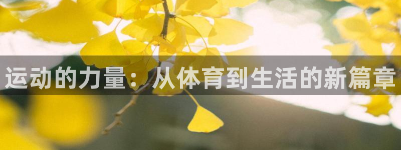 凯发官方正版app集团官网首页：运动的力量：从体育到生活的新