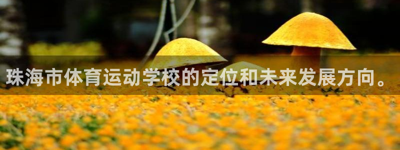凯发官方正版app娱乐下载：珠海市体育运动学校的定位